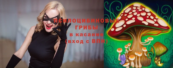 PSILOCYBIN Верея
