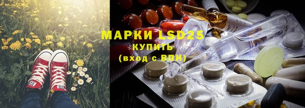 PSILOCYBIN Верея