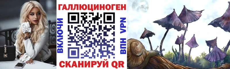 закладки  Ельня  Галлюциногенные грибы мицелий 